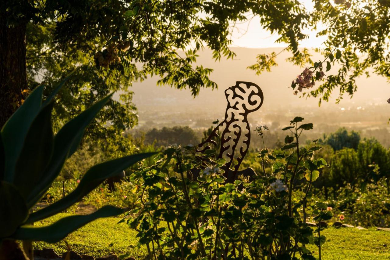 Penzion Amberg Country Estate Paarl Exteriér fotografie