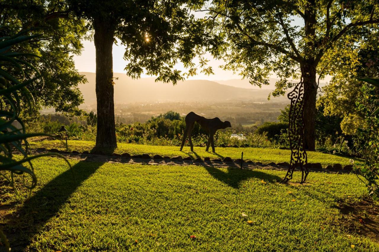 Penzion Amberg Country Estate Paarl Exteriér fotografie